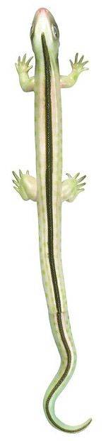 MOSES ΒΑΣΗ ΣΤΥΛΟ ΕΡΠΕΤΑ MOSES ΣΑΥΡΑ