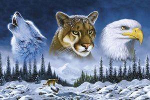 POSTER AMERICAN WILDLIFE 61 X 91.5 CM