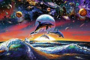 POSTER DOLPHIN UNIVERSE 61 X 91.5 CM