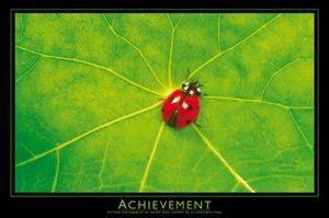 POSTER ACHIEVEMENT 61 X 91.5 CM