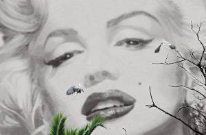  MARILYN A CANNES 175 X 115 CM