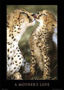 POSTER A MOTHER\'S LOVE 61 X 91.5 CM