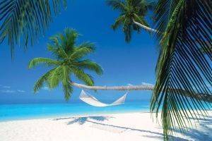 POSTER MALDIVES ISLAND HAMMOCK 61 X 91.5 CM