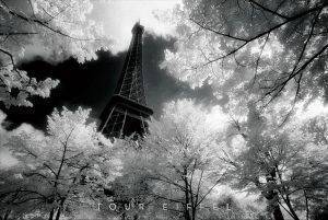 POSTER EIFFEL TOWER (NOTON) 61 X 91.5 CM