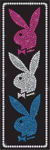 DOOR POSTER PLAYBOY BLING DOOR 53 X 158 CM