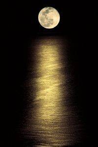 POSTER MOONLIGHT OCEAN 61 X 91.5 CM