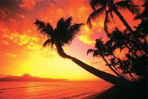 POSTER HAWAIIAN SUNSET 61 X 91.5 CM