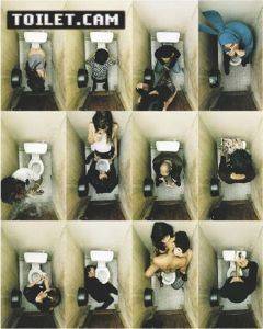 POSTER TOILET.CAM 40.6 X 50.8 CM