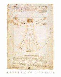 POSTER VITRUVIAN MAN 40.6 X 50.8 CM