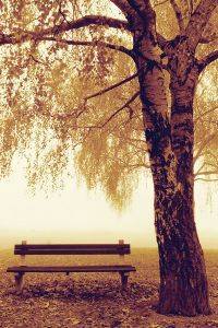 POSTER PARK BENCH  61 X 91.5 CM