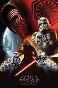 POSTER STAR-WARS FORCE 61 X 91.5 CM