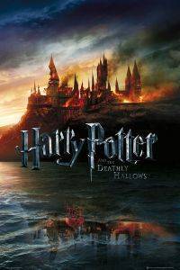 POSTER HARRY POTTER 61 X 91.5 CM