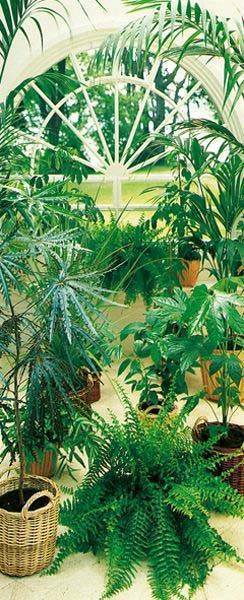 DOOR MURAL LA SERRE 86 X 200 CM WIZARD - GENIUS AG