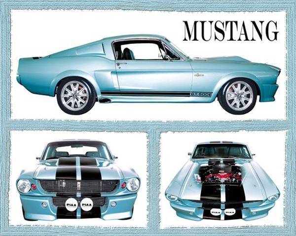 POSTER FABULOUS MUSTANG (40.6X50.8CM)