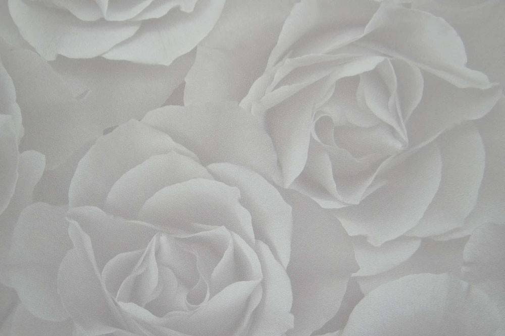 PETRANIS ΤΑΠΕΤΣΑΡΙΑ PETRANIS ΝΟ 575 ΜΕΓΑΛΑ ΤΡΙΑΝΤΑΦΥΛΛΑ ΑΝΑΓΛΥΦΗ 0.53X10.05CM