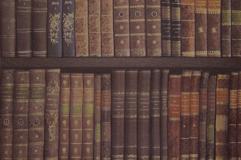 ΤΑΠΕΤΣΑΡΙΑ PETRANIS ΝΟ 599 ΠΑΛΙΑ ΒΙΒΛΙΑ ΚΑΦΕ 0.53X10.05CM PETRANIS