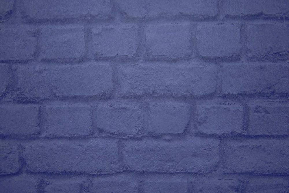 ΤΑΠΕΤΣΑΡΙΑ PETRANIS ΝΟ 226768 ΑΠΟΜΙΜΗΣΗ ΠΕΤΡΙΝΟΥ ΤΟΙΧΟΥ ΜΠΛΕ 0.53X10.05CM PETRANIS