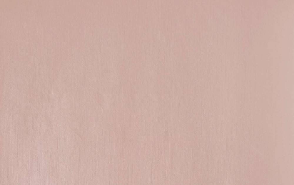 ΤΑΠΕΤΣΑΡΙΑ PETRANIS ΝΟ 204 ΜΟΝΟΧΡΩΜΗ ΣΟΜΟΝ ΑΝΑΓΛΥΦΗ 0,53X10.05CM PETRANIS