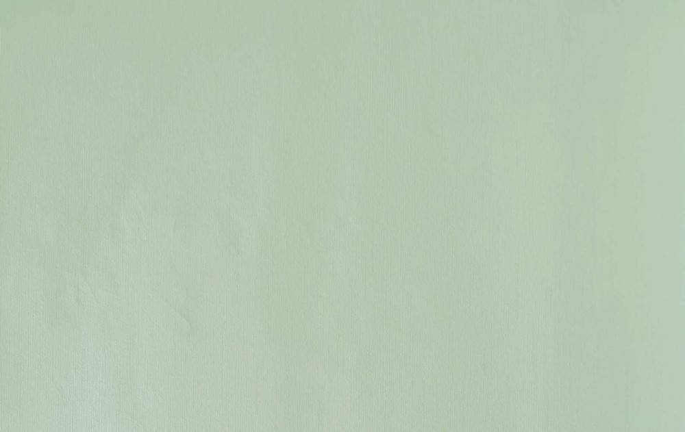 ΤΑΠΕΤΣΑΡΙΑ PETRANIS ΝΟ 206 ΜΟΝΟΧΡΩΜΗ ΑΝΟΙΧΤΟ ΠΡΑΣΙΝΟ 0,53X10.05CM