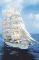 POSTER THE SEA CLOUD 61 X 91.5 CM