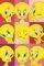 POSTER TWEETY FACES 61 X 91.5 CM