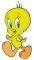   HOLLYTOON TWEETY (LARGE)