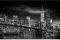 POSTER NEW-YORK-FREEDOM-TOWER  61 X 91.5 CM