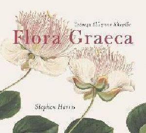 FLORIA GRAECA   