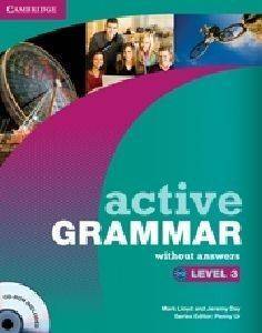 ACTIVE GRAMMAR LEVEL 3