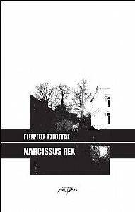 NARCISSUS REX