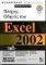    EXCEL 2002