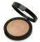  GOLDEN ROSE MINERAL TERRACOTTA POWDER 09