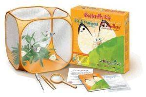 WORLD ALIVE BUTTERFLY KIT