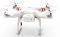 DJI PHANTOM 2 V2 WITH CAMERA MOUNT