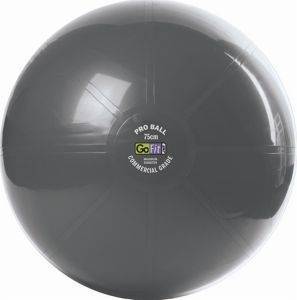 GO-FIT PROFESSIONAL STABILITY BALLS 75CM 