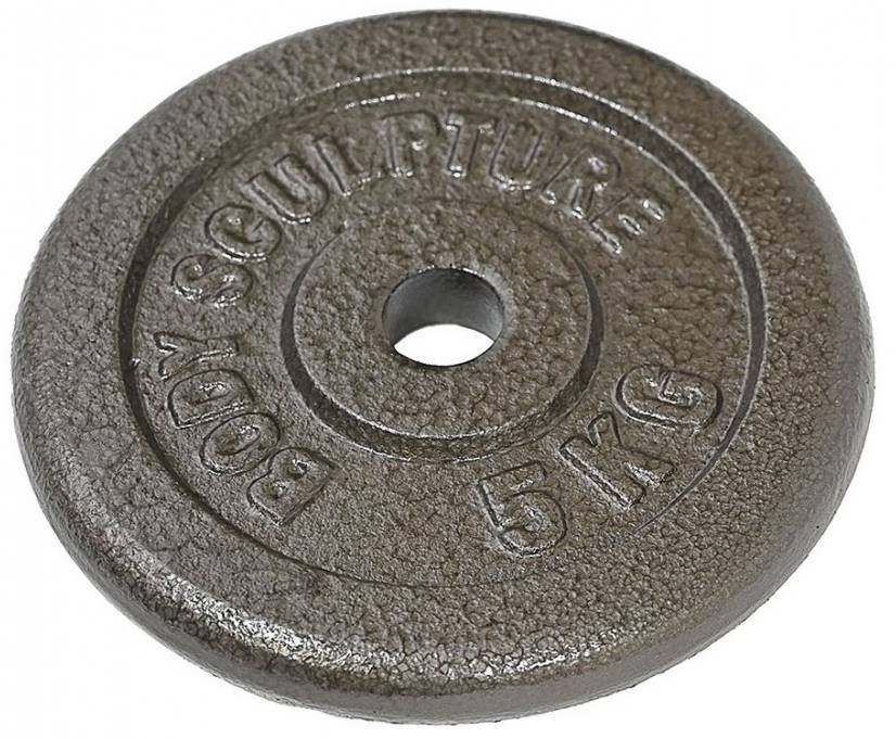 ΔΙΣΚΟΣ ΜΕΤΑΛΛΙΚΟΣ BODY SCULPTURE BW-200G (5 KG) BODY SCULPTURE