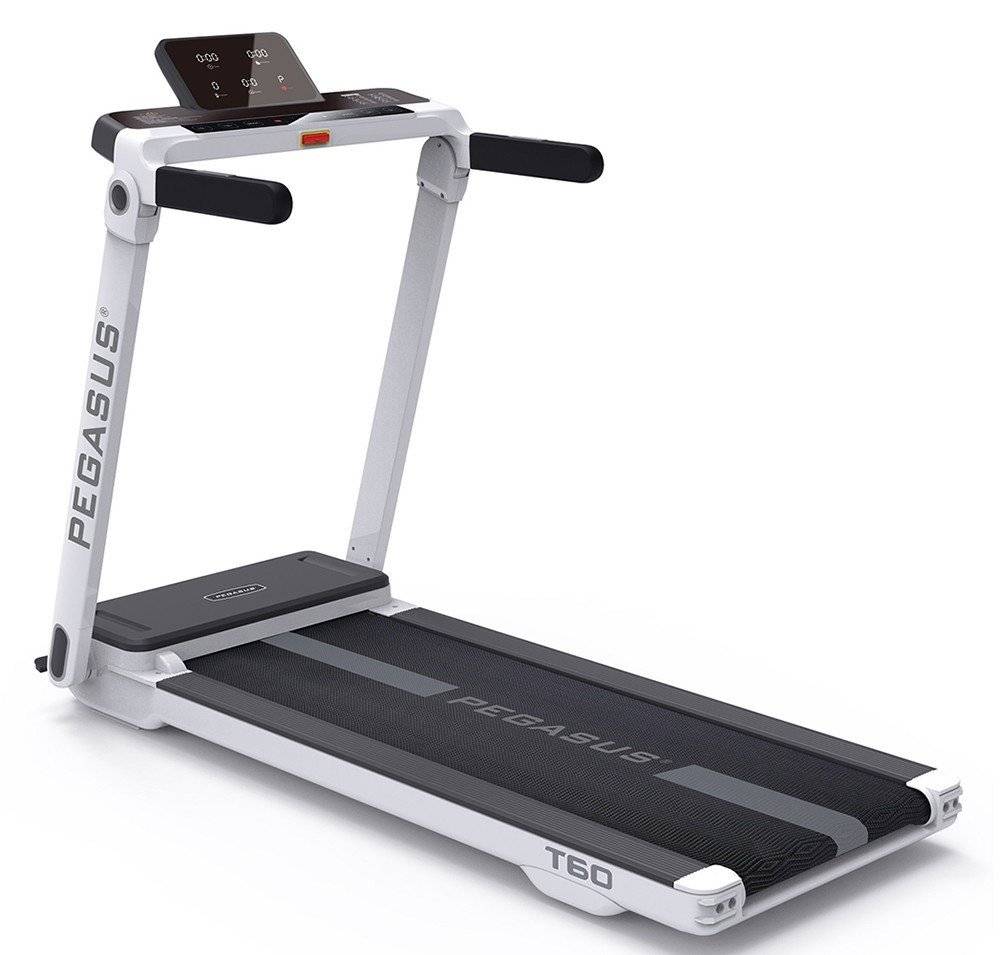 ΔΙΑΔΡΟΜΟΣ PEGASUS T60 PEGASUS