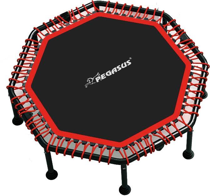 ΟΚΤΑΓΩΝΟ ΤΡΑΜΠΟΛΙΝΟ PEGASUS Β-4503 ΜΑΥΡΟ 48&amp;quot; (122 CM)