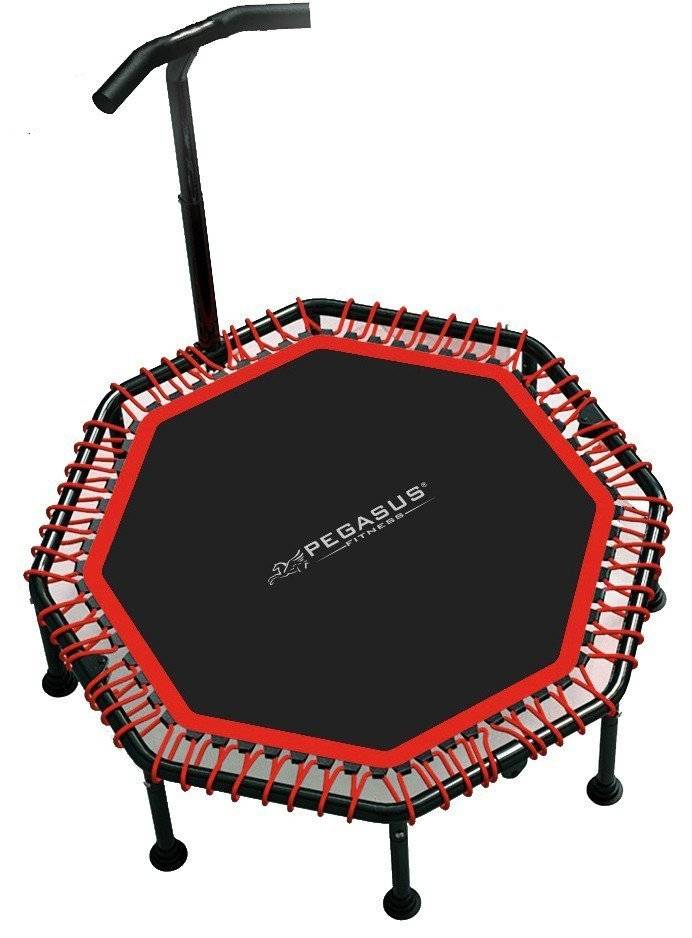 ΟΚΤΑΓΩΝΟ ΤΡΑΜΠΟΛΙΝΟ PEGASUS Β-4503Α ΜΕ ΛΑΒΗ 48" (122 CM)