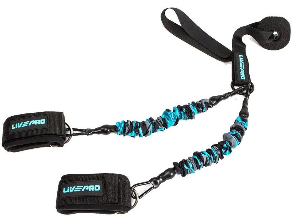 ΛΑΣΤΙΧΟ ΕΛΞΕΩΝ ΠΟΡΤΑΣ LIVEPRO Β-8427 LIVEPRO