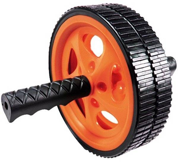 ΔΙΠΛΗ ΡΟΔΑ ΚΟΙΛΙΑΚΩΝ PEGASUS Β-2005 (18 CM)