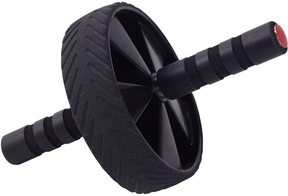 PEGASUS ΡΟΔΑ ΚΟΙΛΙΑΚΩΝ PEGASUS Β-2008 (19 CM)