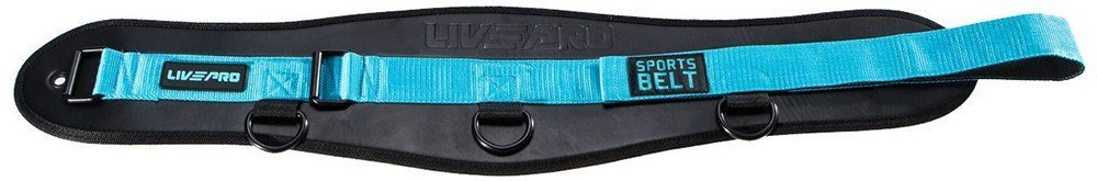 LIVEPRO ΖΩΝΗ ΑΘΛΗΣΗΣ LIVEPRO Β-8094 DIP BELT