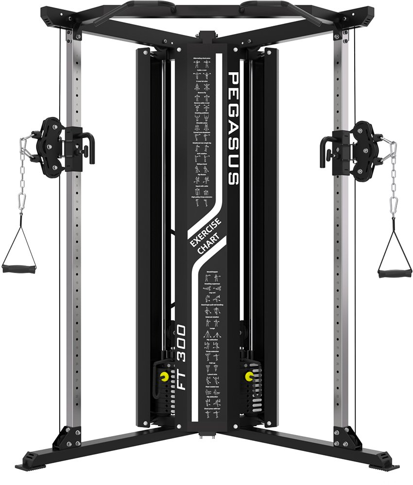 PEGASUS ΠΟΛΥΟΡΓΑΝΟ ΜΕ ΒΑΡΗ PEGASUS FUCTION TRAINER FT-300