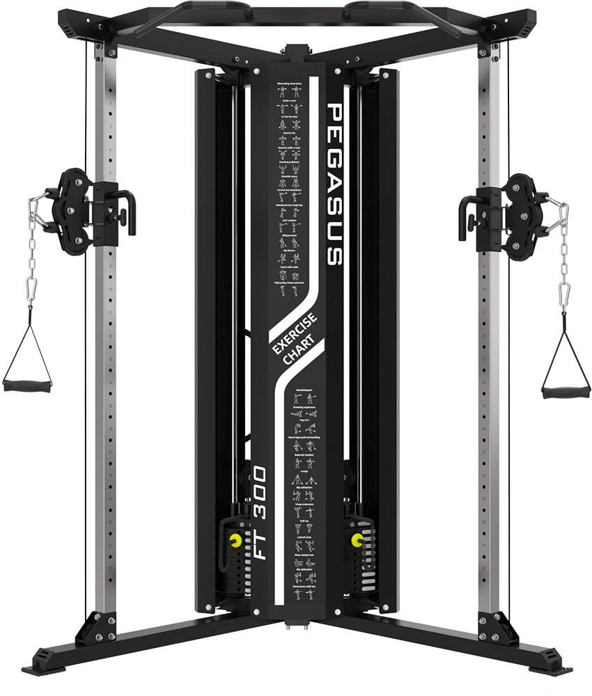 ΠΟΛΥΟΡΓΑΝΟ ΜΕ ΒΑΡΗ PEGASUS FUCTION TRAINER FT-300 PEGASUS