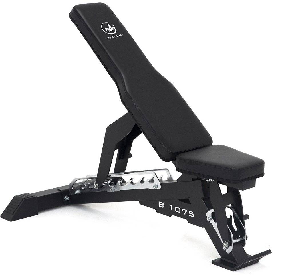 ΗΜΙ-ΕΠΑΓΓΕΛΜΑΤΙΚΟΣ ΡΥΘΜΙΖΟΜΕΝΟΣ ΠΑΓΚΟΣ PEGASUS B-1075 PEGASUS