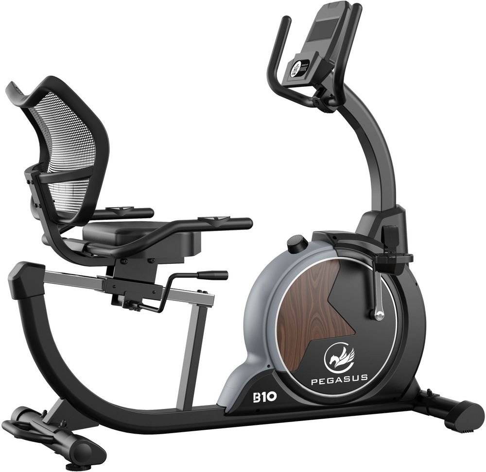 ΚΑΘΙΣΤΟ ΠΟΔΗΛΑΤΟ PEGASUS B10