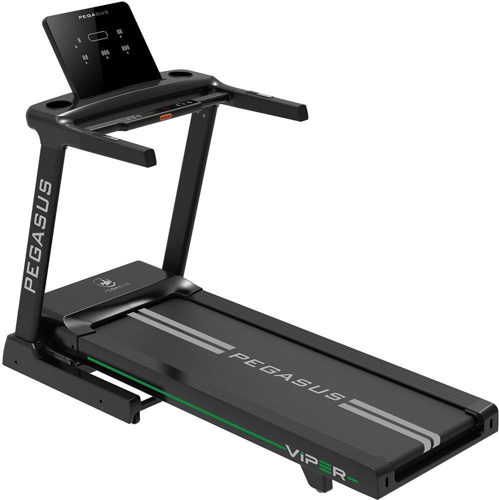 ΔΙΑΔΡΟΜΟΣ PEGASUS VIPER PEGASUS