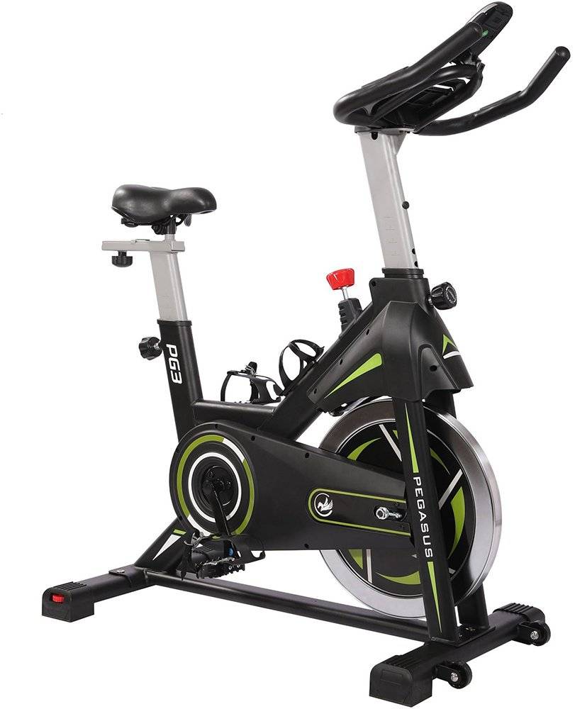 ΠΟΔΗΛΑΤΟ PEGASUS SPIN BIKE PG3 PEGASUS