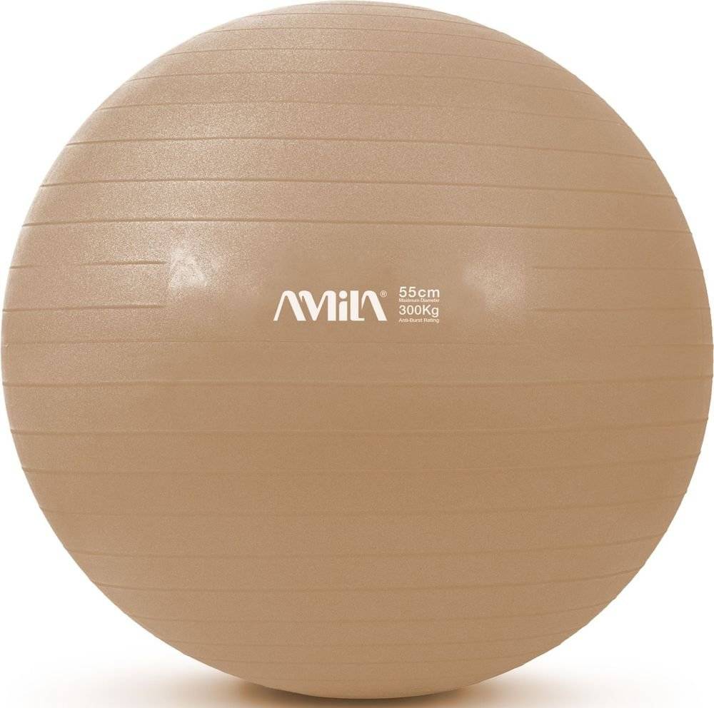 ΜΠΑΛΑ ΓΥΜΝΑΣΤΙΚΗΣ AMILA GYMBALL 95827 ΡΟΖ (55 CM) AMILA